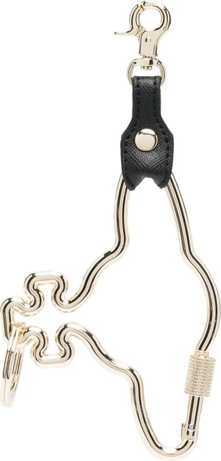 Orb carabiner keyring