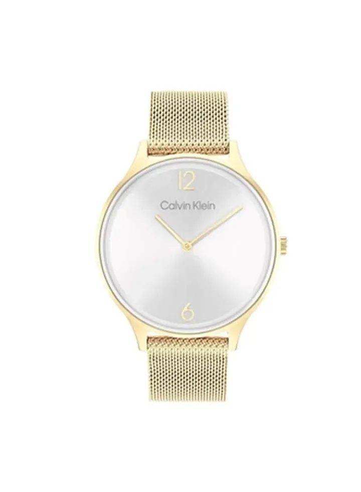 Stainless Steel Analog Watch 25200003