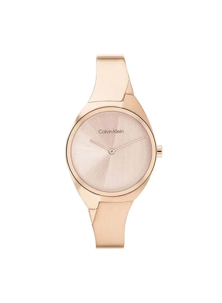Stainless Steel Analog Watch 25200236