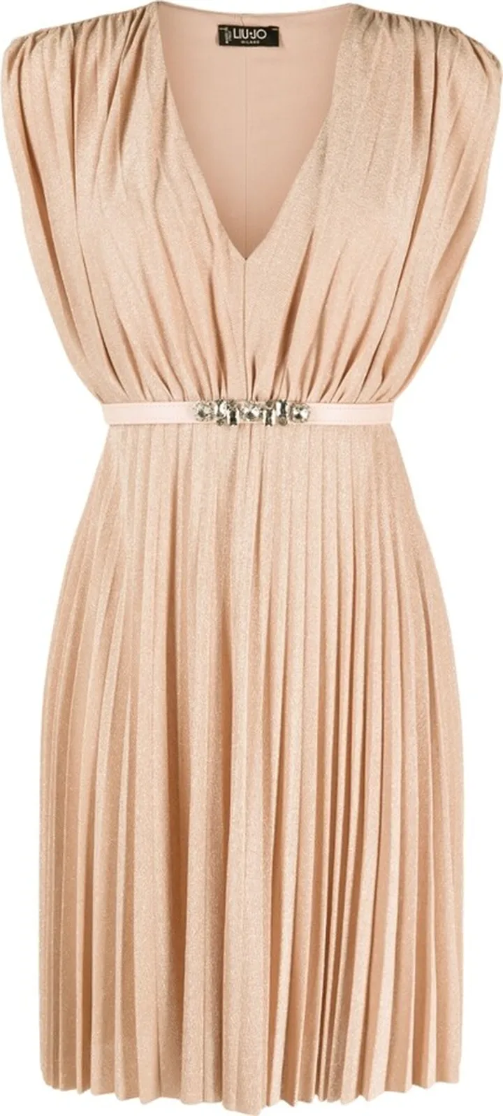 Belted Pleated Dress