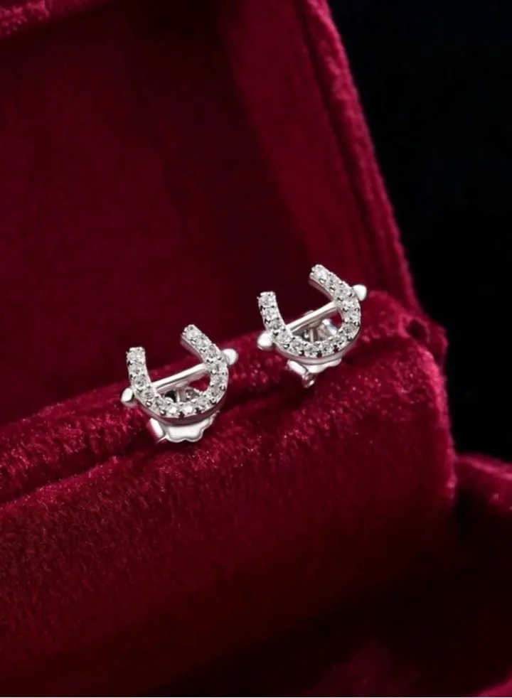 Pure 925 Sterling Silver Earrings For Women
