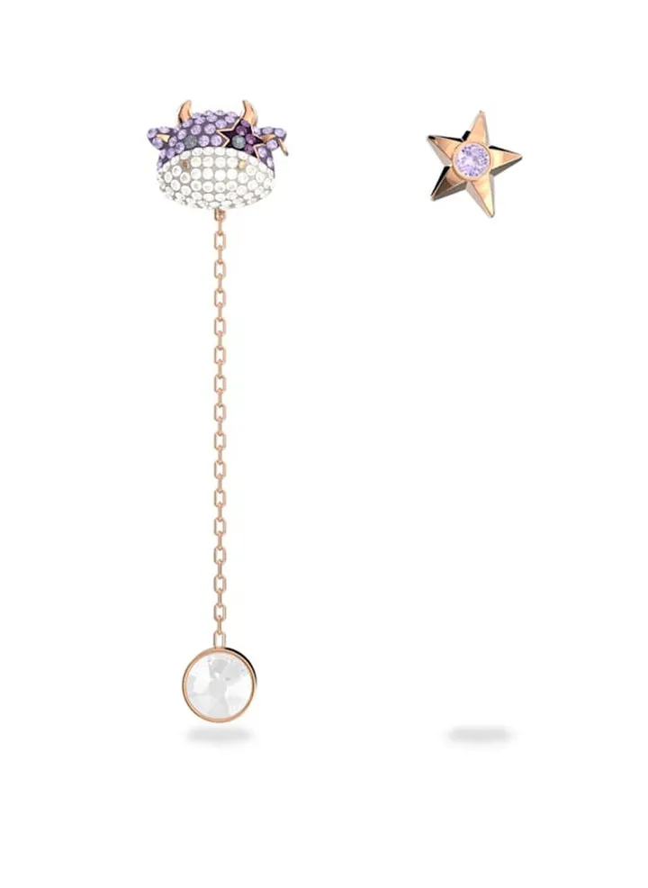 Little Earrings