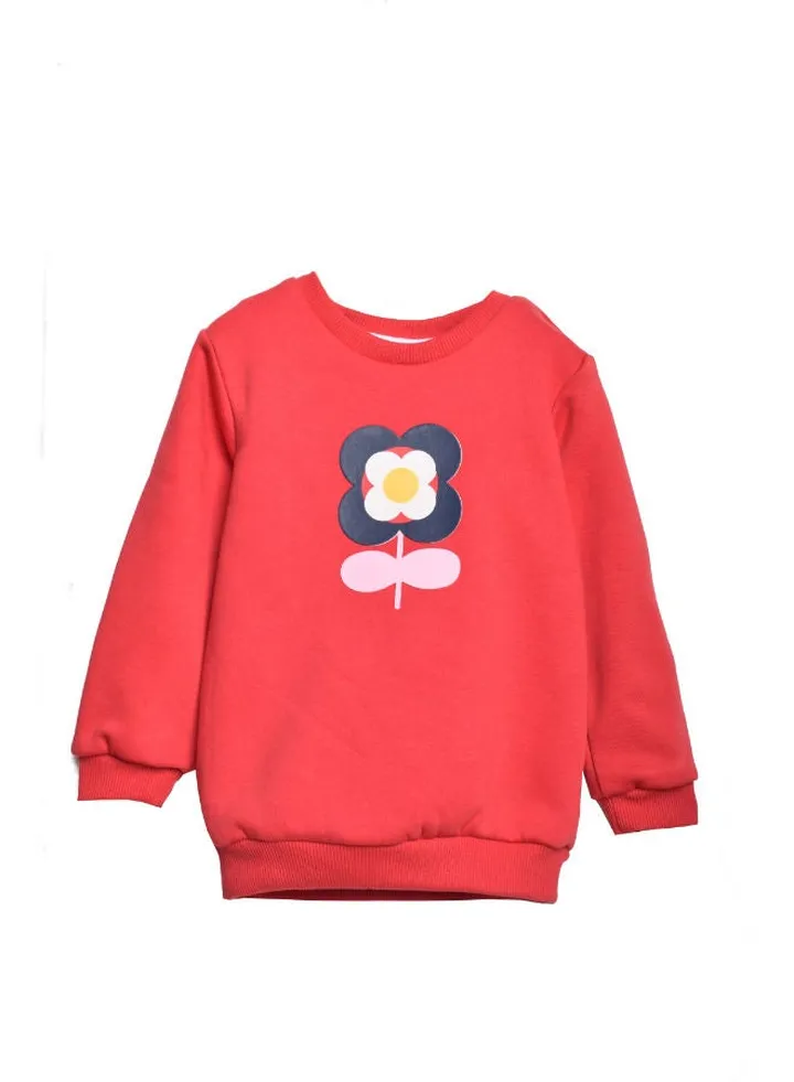 Baby Girls SweatShirt