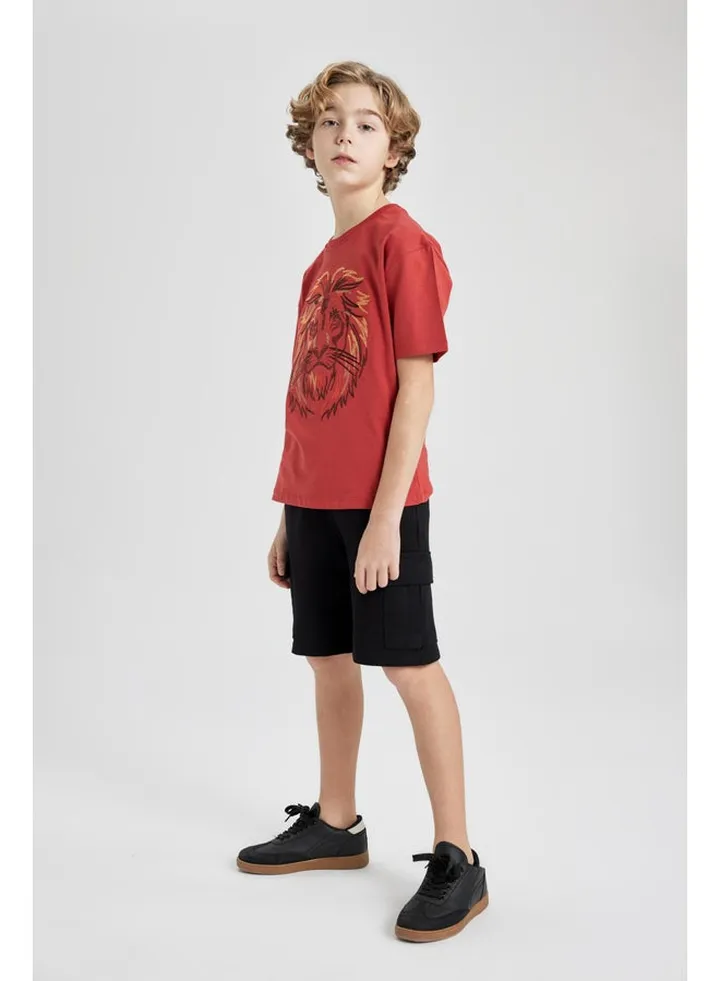 Boy Regular Fit Knitted Shorts