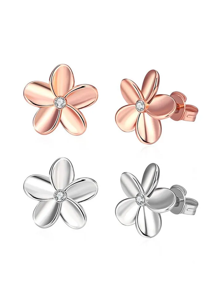 Fashion Ladies Earrings Ake027B