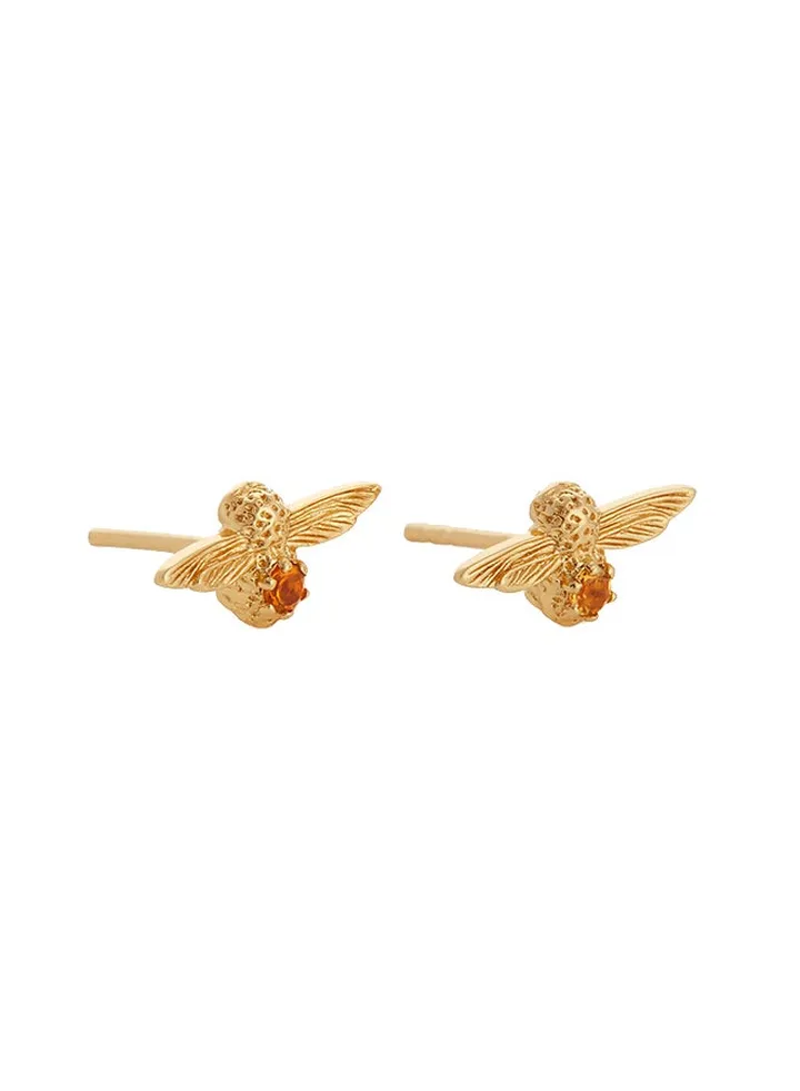 Celebration Stones Women Stud Earrings - OBJAME105