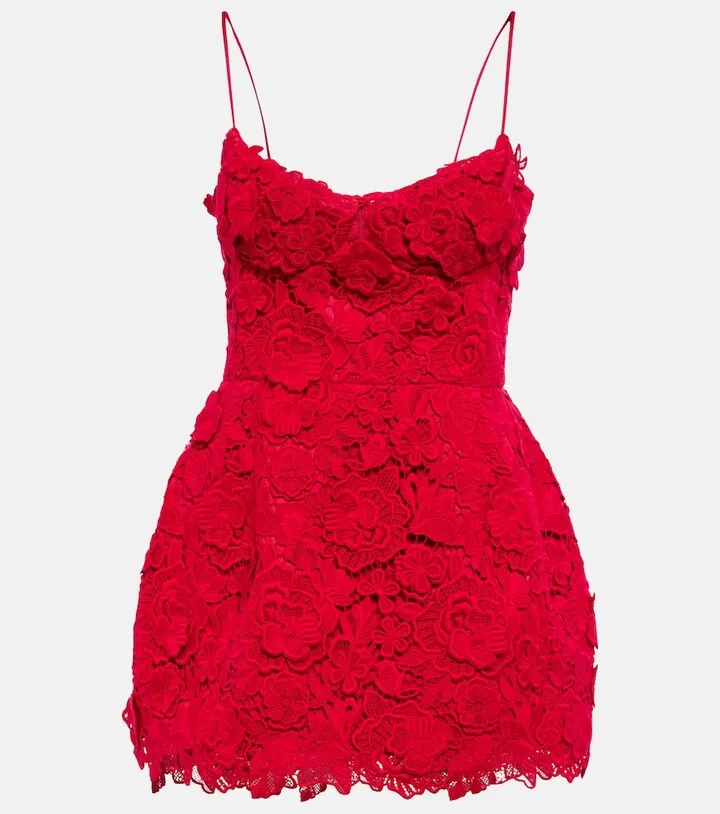 Applique lace minidress