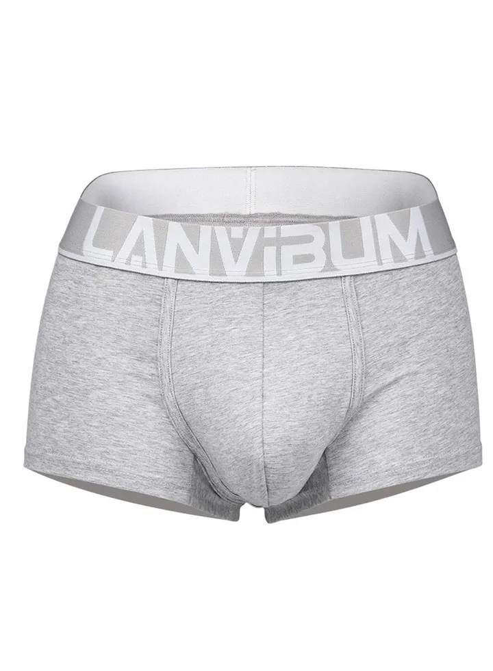 Student Youth Middle Waist Cotton Underwear Grey