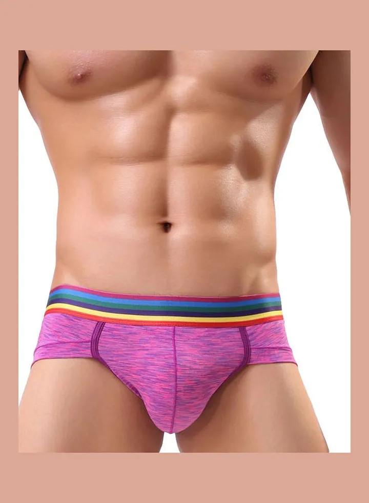 Low Waistline Briefs Purple
