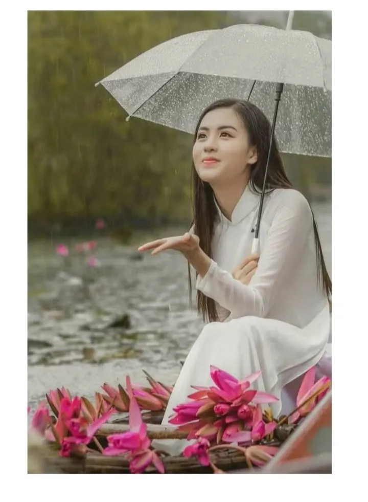 Transparent Umbrella Cool Transparent Look