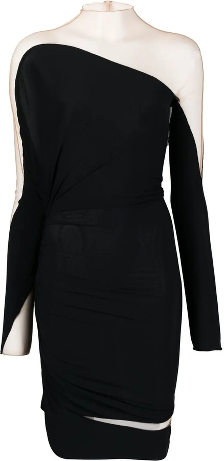 Sheer-Panelled Bodycon Dress