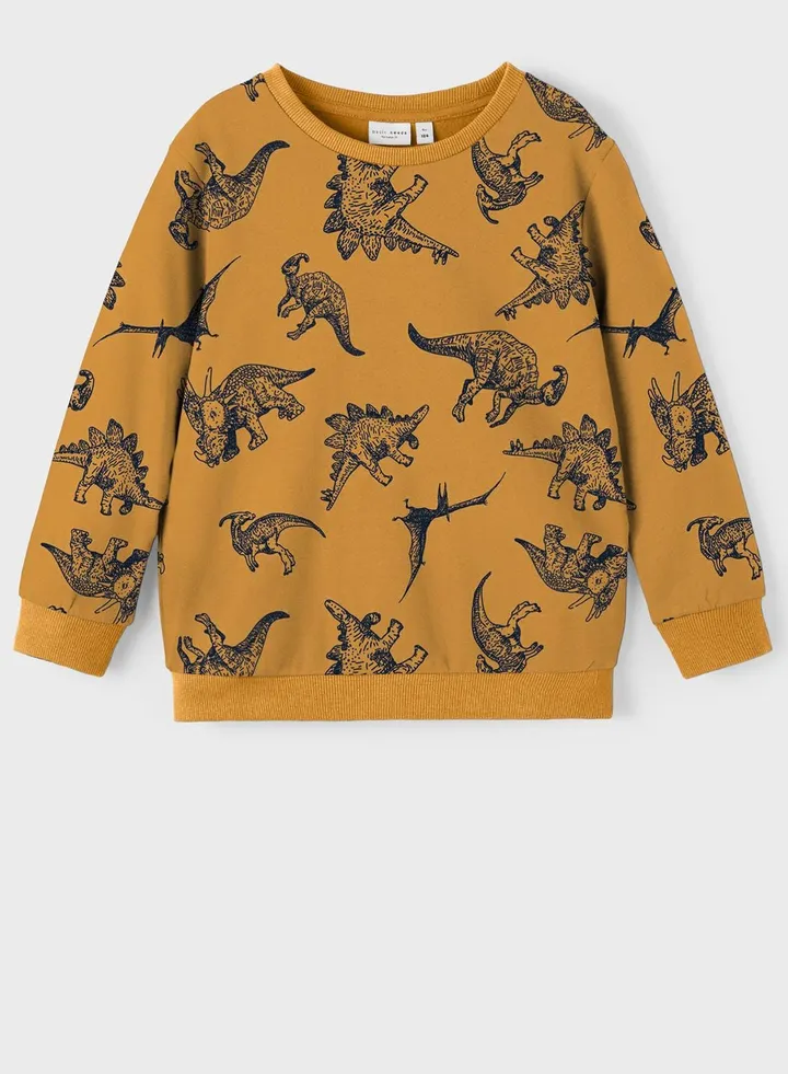 Kids Dinosaur Sweatshirt