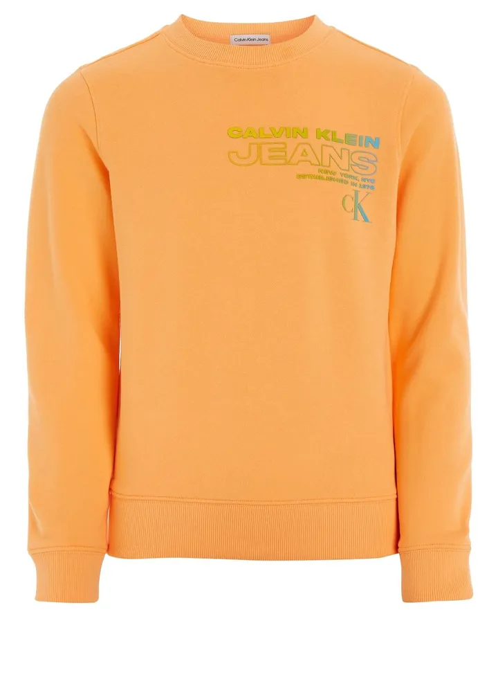 Youth Logo Sweatshirt