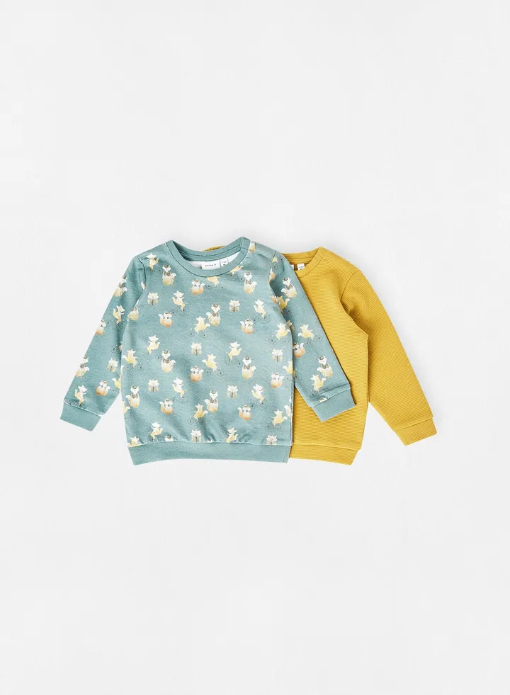 Baby Boys Long Sleeve Sweatshirt (Pack of 2) Multicolour