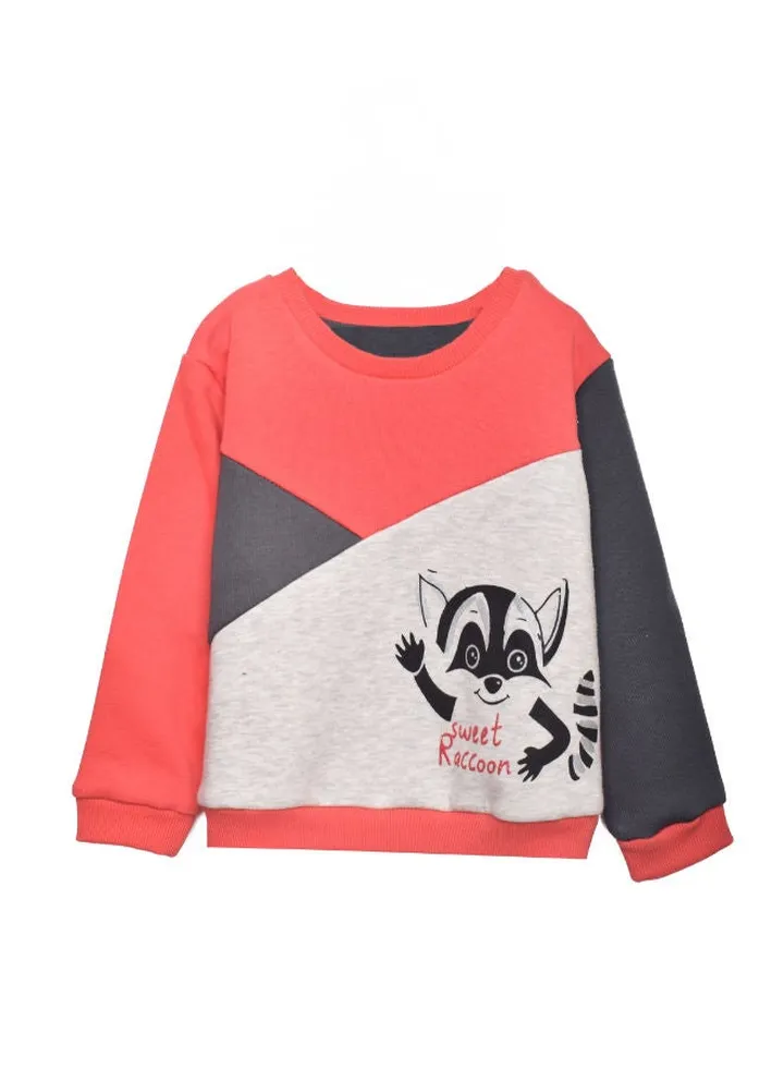 Baby Boys Round SweatShirt