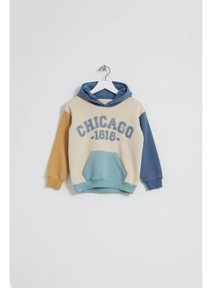 Boys Printed Cotton sweatshirt