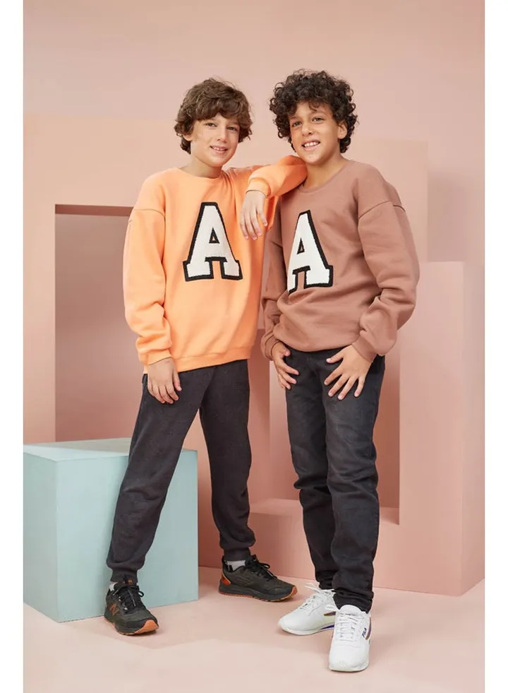 Boys Printed Cotton sweatshirt - Brown