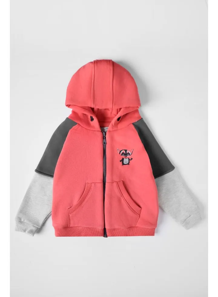 Baby Boys Full Zipper Hoodie