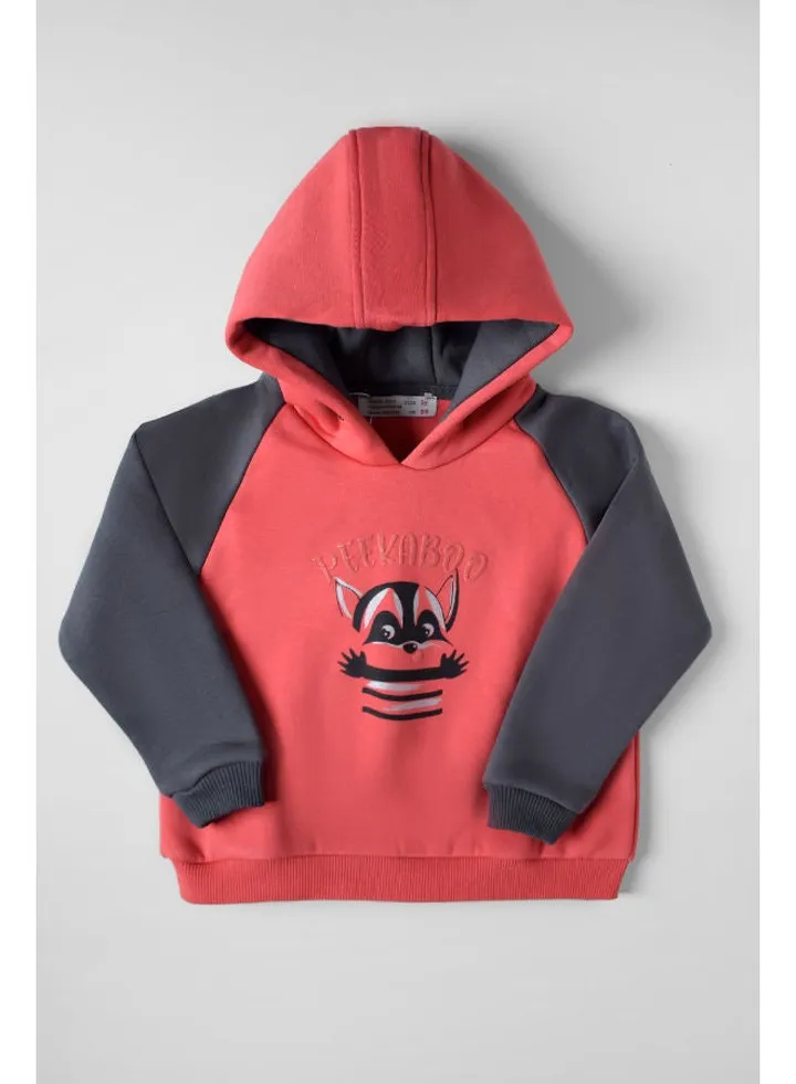 Baby Boys Hoodie