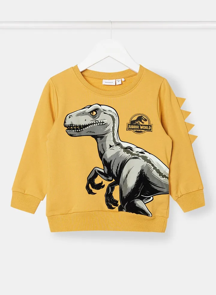 Boys Dino Print Sweatshirt