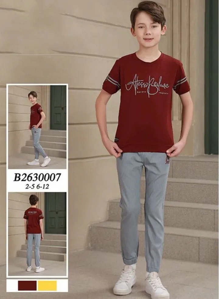 boy's clothing set Two piece
