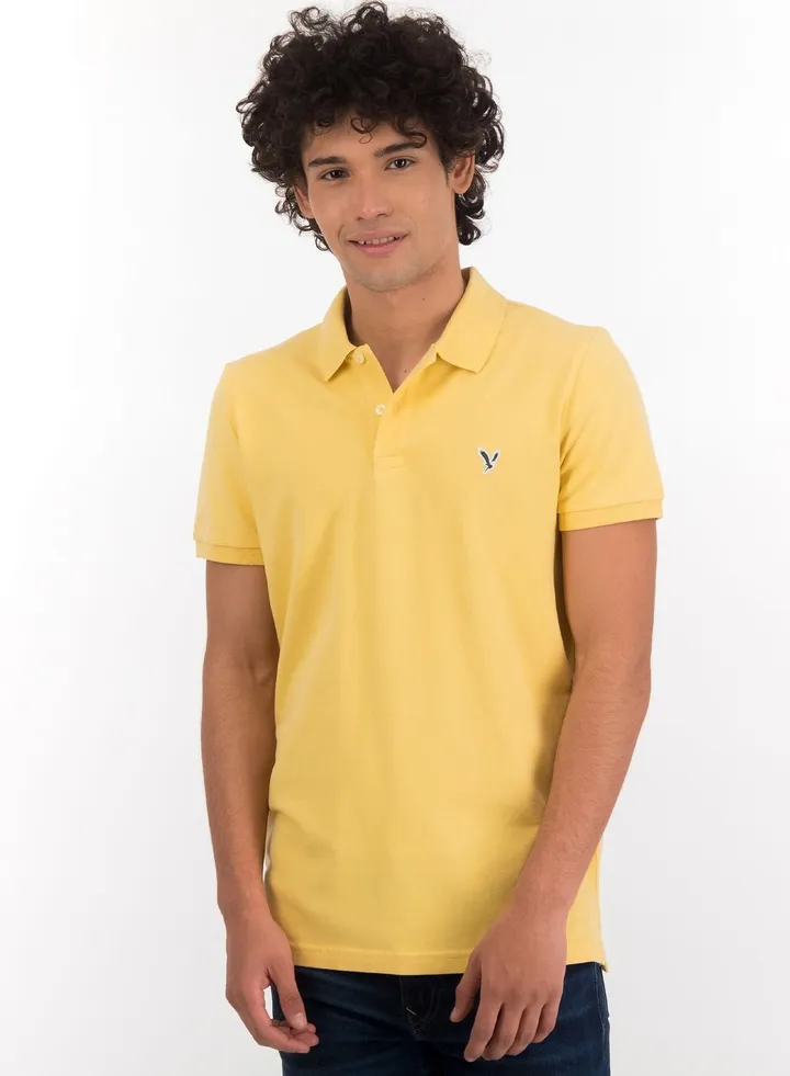 Logo Polo