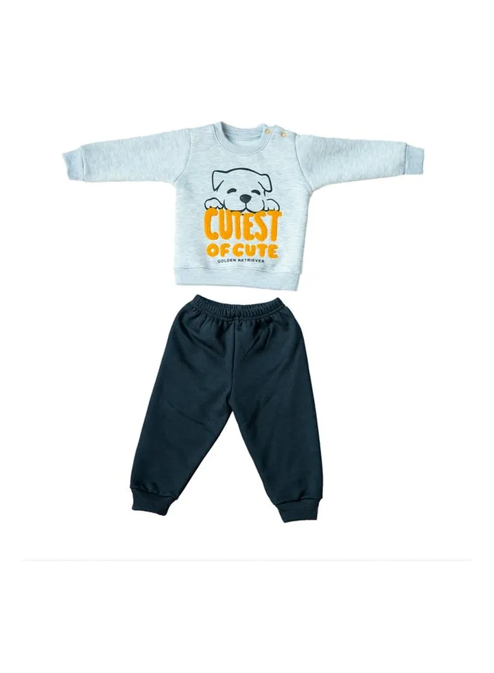 Baby Boys Pants & Sweatshirt Set