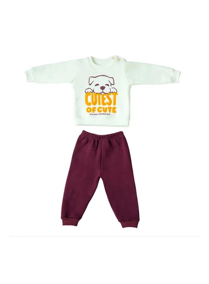 Baby Boys Pants & Sweatshirt Set