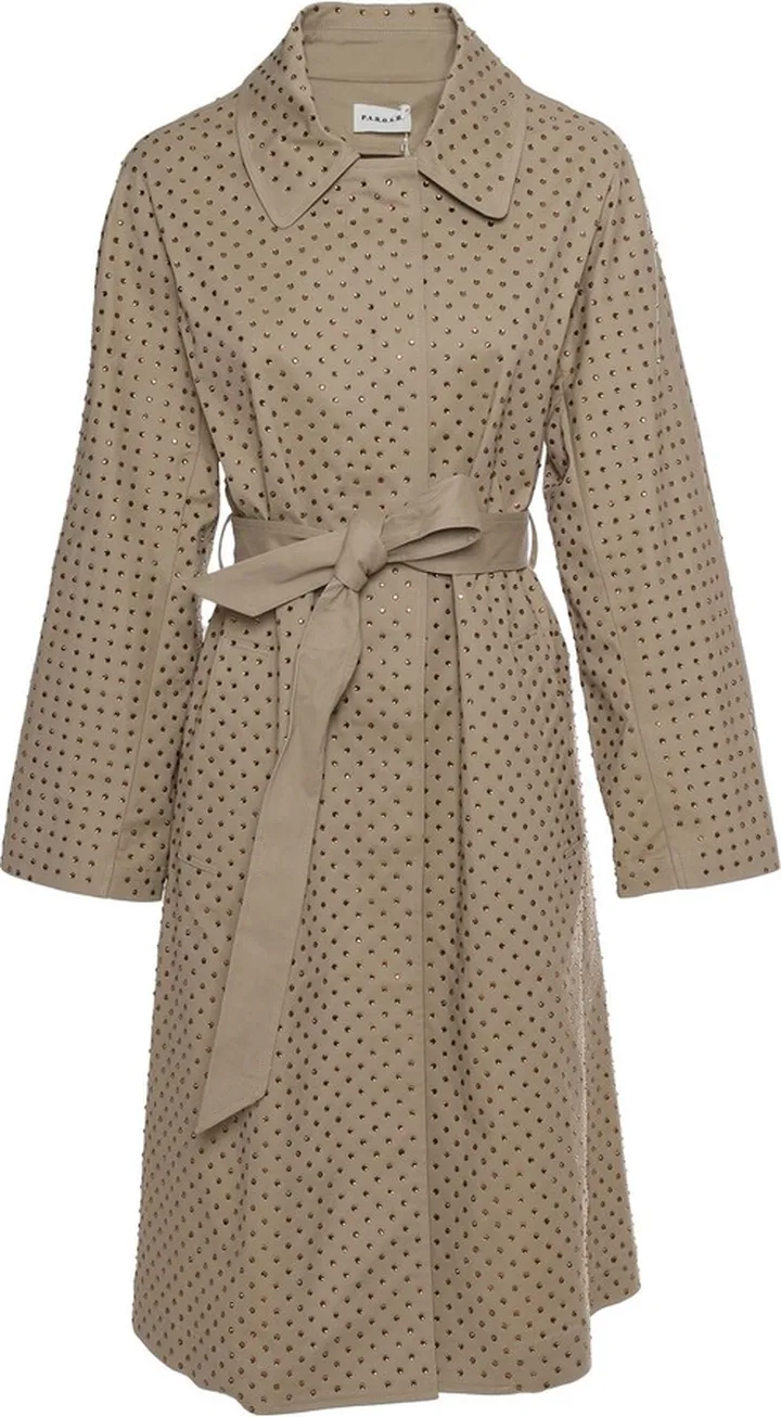 Crystal Trench Coat