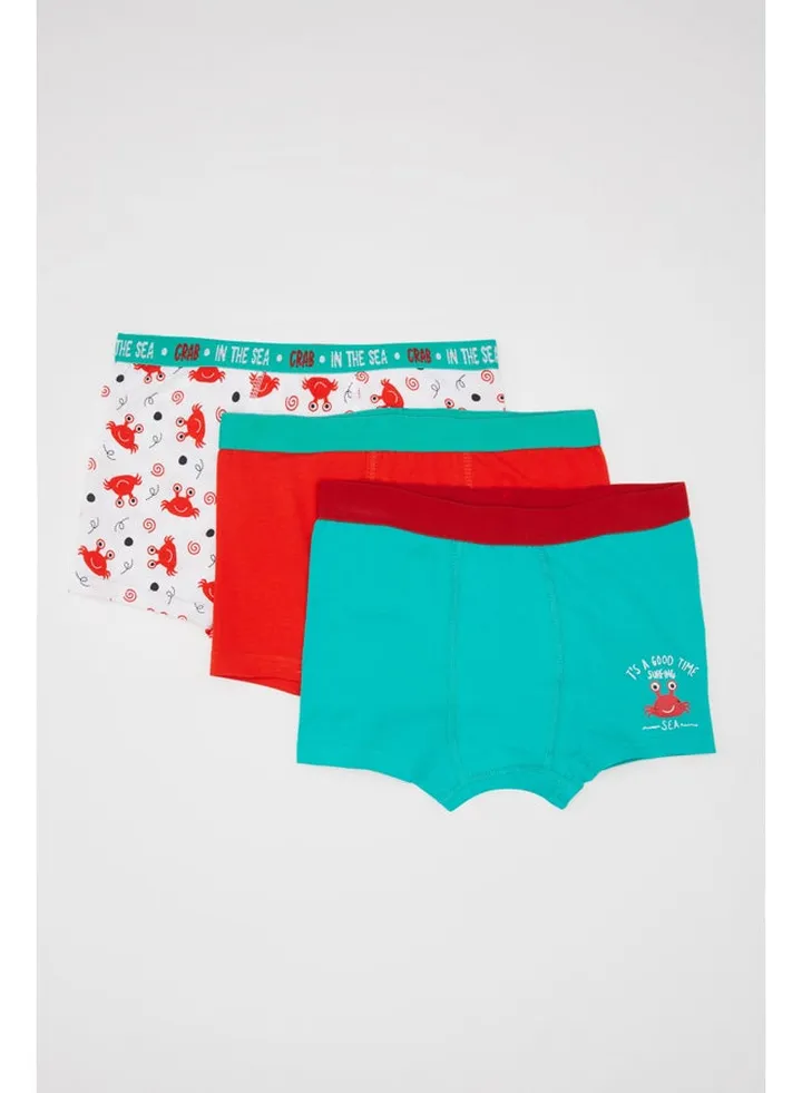Boy Regular Fit Underwear Knitted Boxer - 3 Pack
