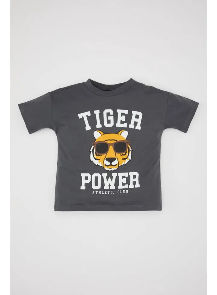 Babyboy Regular Fit Bike Neck Knitted Short Sleeve T-Shirt