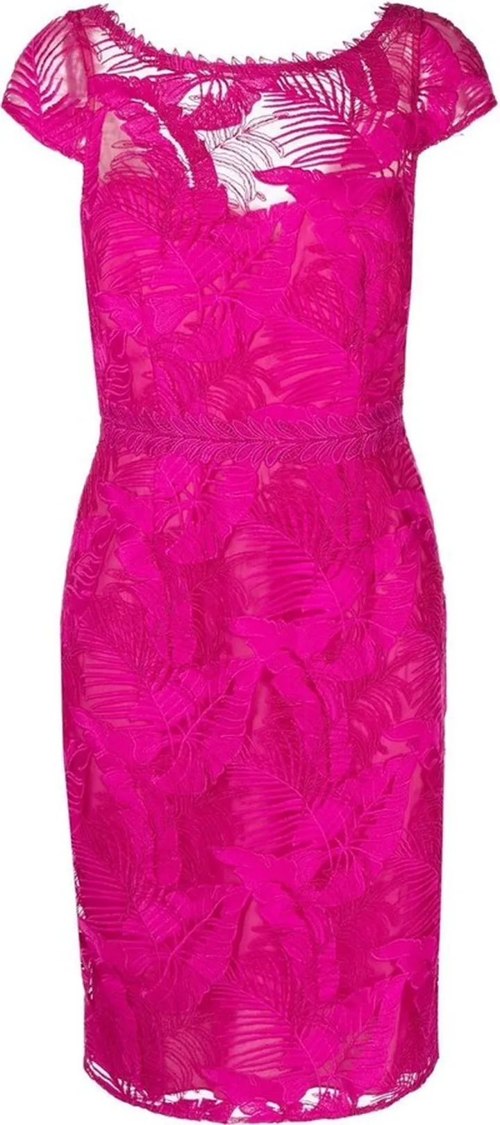 Fauna lace-embellsihed midi dress