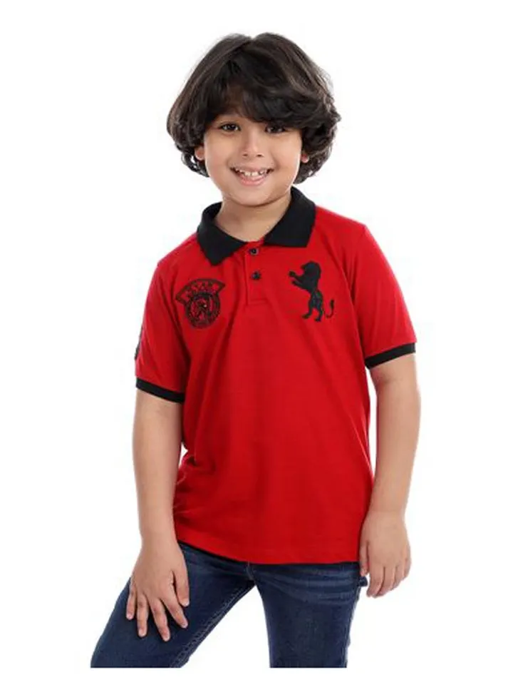 Boys Polo T-shirt with Print