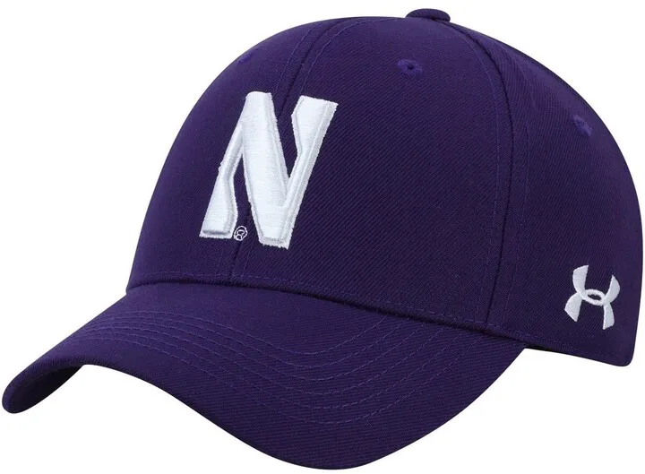 Men's Under Armour Purple Northwestern Wildcats Classic Structured Adjustable Hat