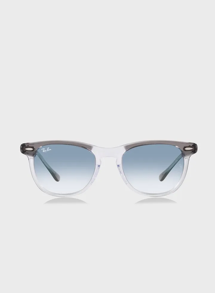 0Rb2398 Eagleeye Pillow Sunglasses