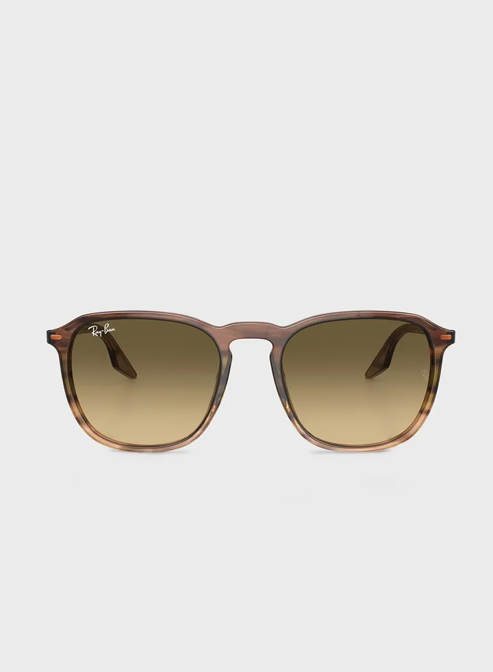 0Rb2203 Wayfarers Sunglasses