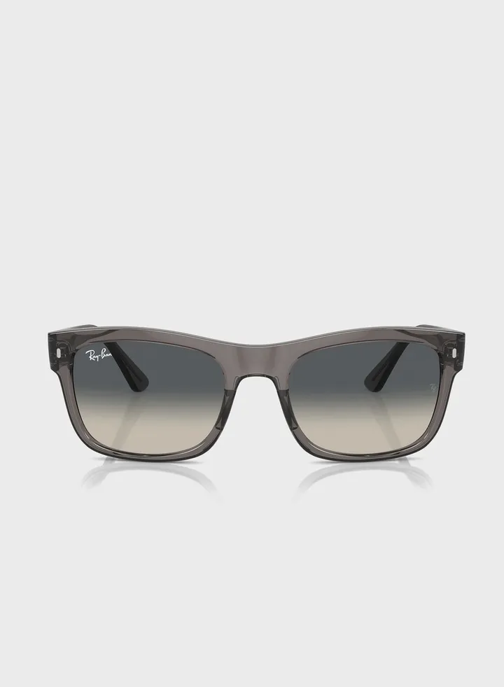 0Rb4428 Wayfarers Sunglasses