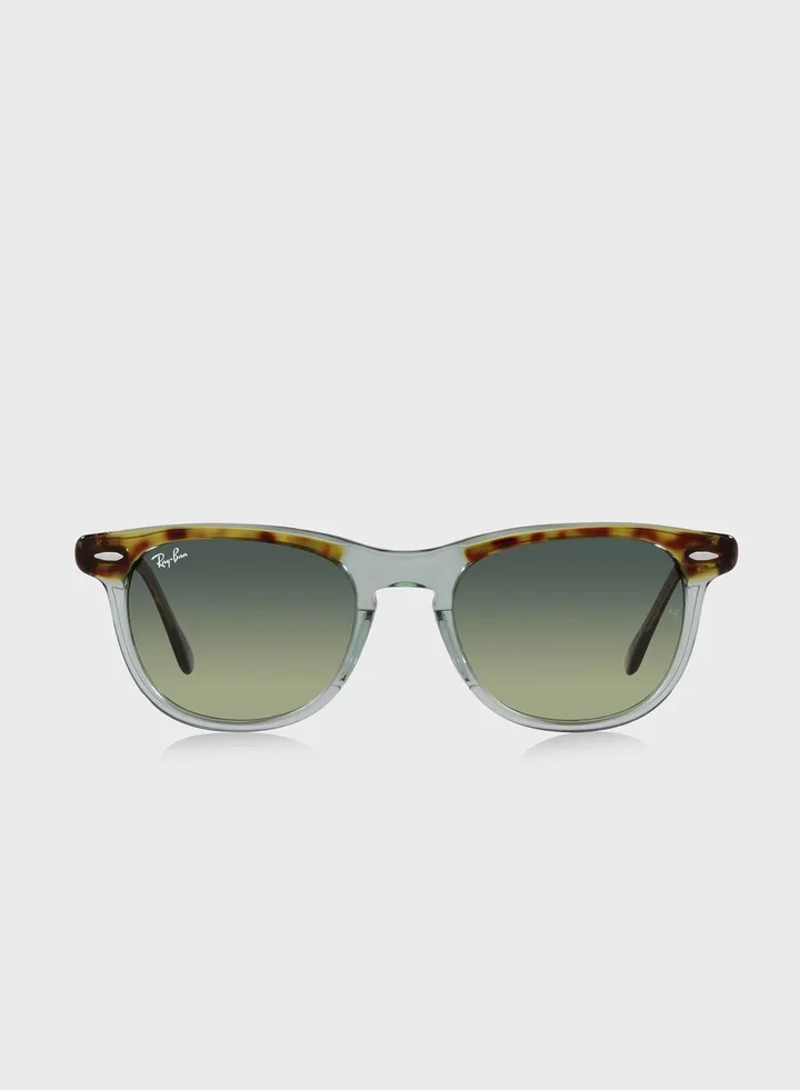 0Rb2398 Eagleeye Pillow Sunglasses
