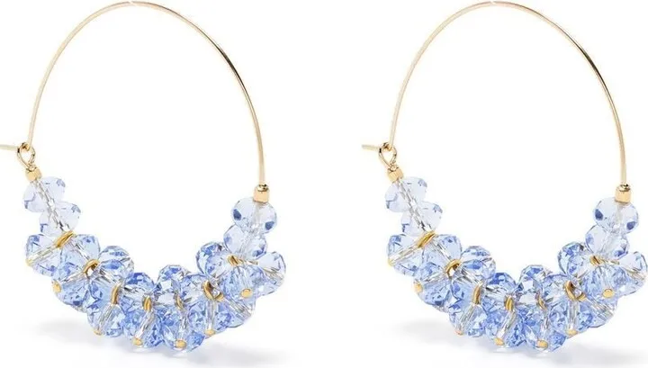Hoop Transparent Earrings