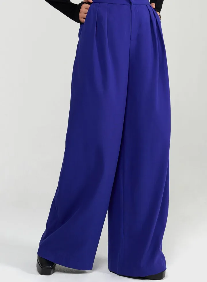 Wide-Leg Pleated Trousers