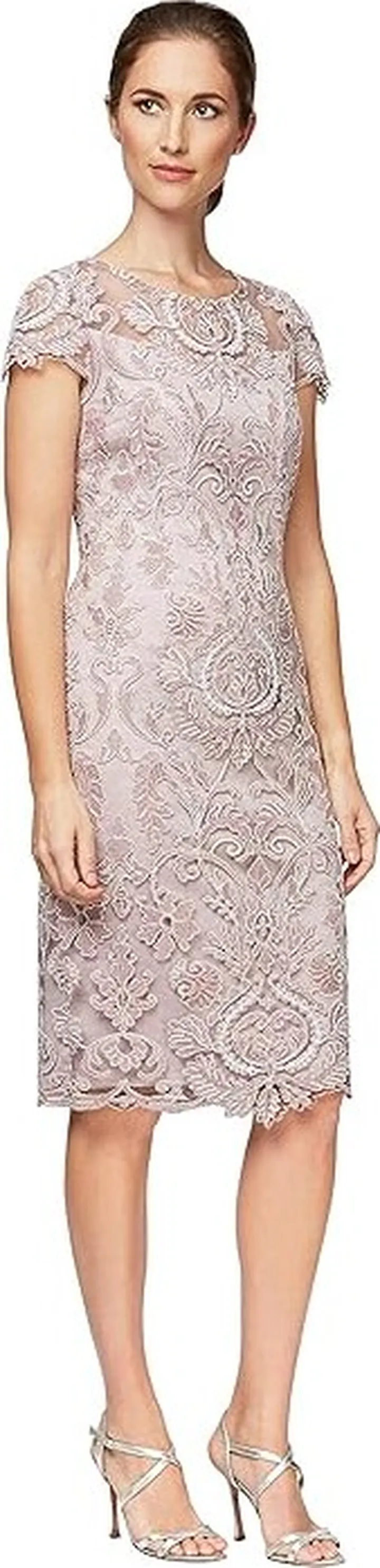 Alex Evenings Short Embroidered Cap Sleeve Dress (Rose) Women's Dress