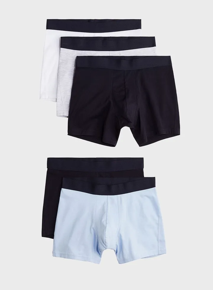 5 Pack Brief
