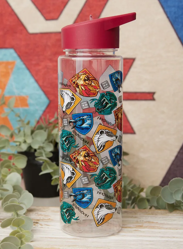 Harry Potter Stand Together (Plastic Drinks Bottle