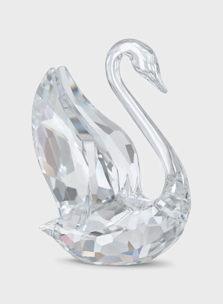 Iconic Swan