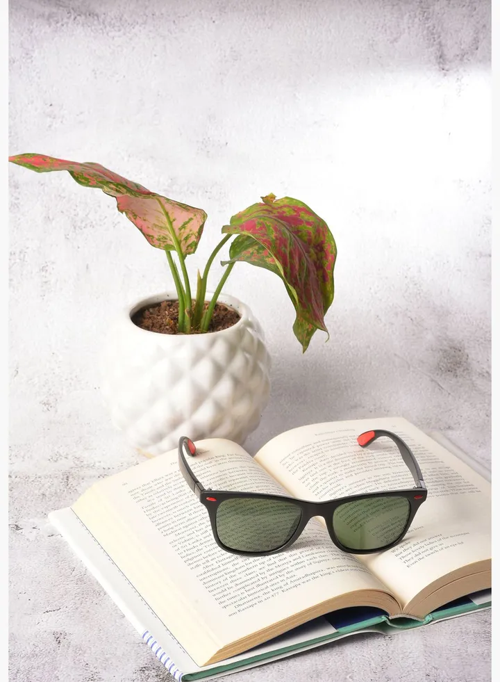 Men Black Lens Black Butterfly Sunglasses