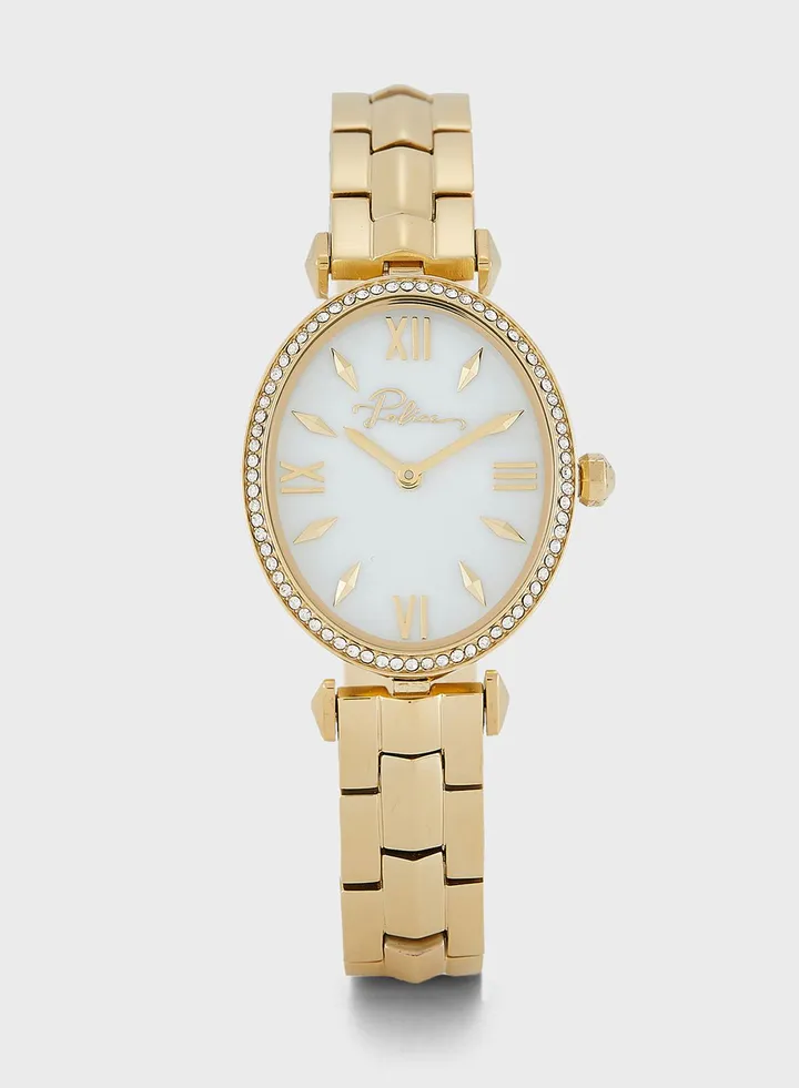 Olinville Analog Watch