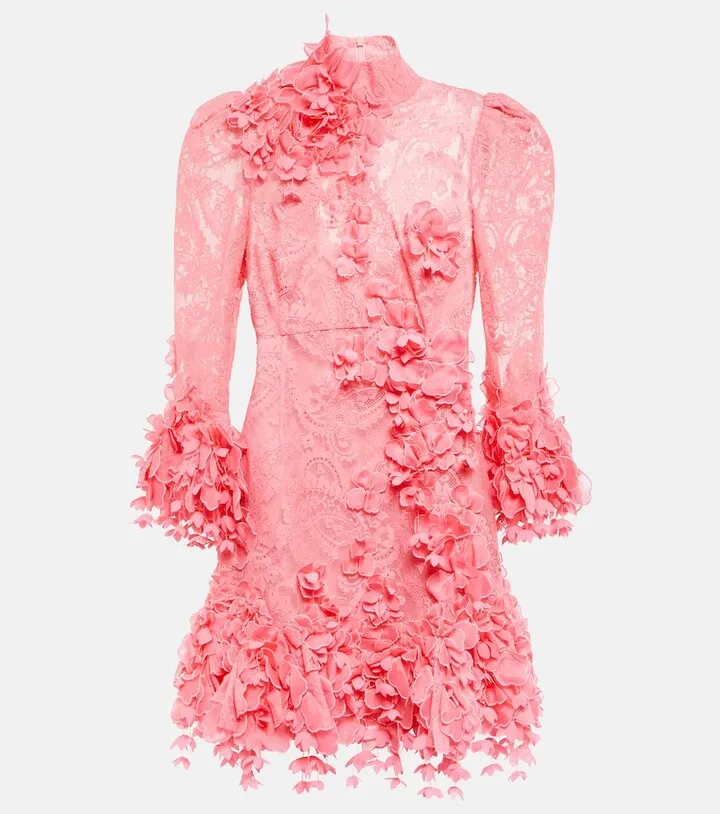 High Tide appliqued lace minidress