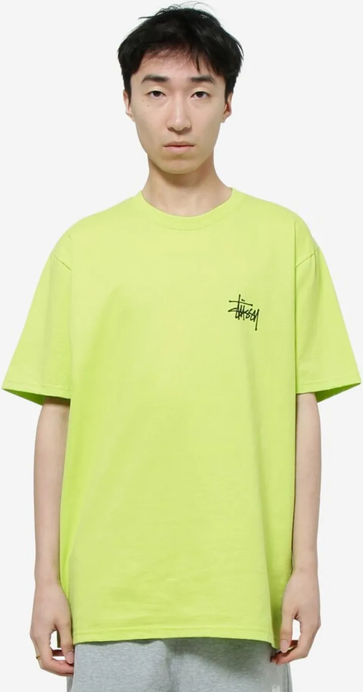 Basic Stussy T-shirt