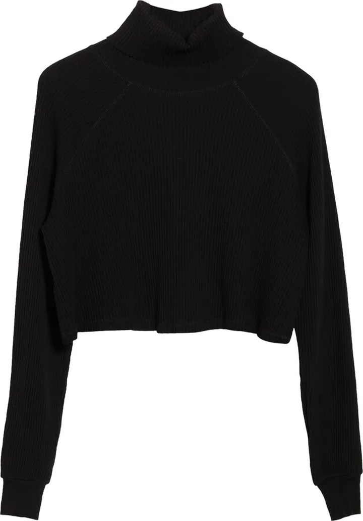 Turtleneck Long Sleeve Crop Top