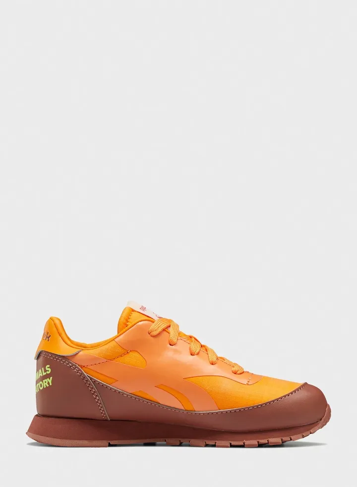 Kids Low Top Sneakers